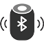 BT Speaker